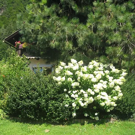 Casa de hóspedes Wolf Steindorf am Ossiacher See